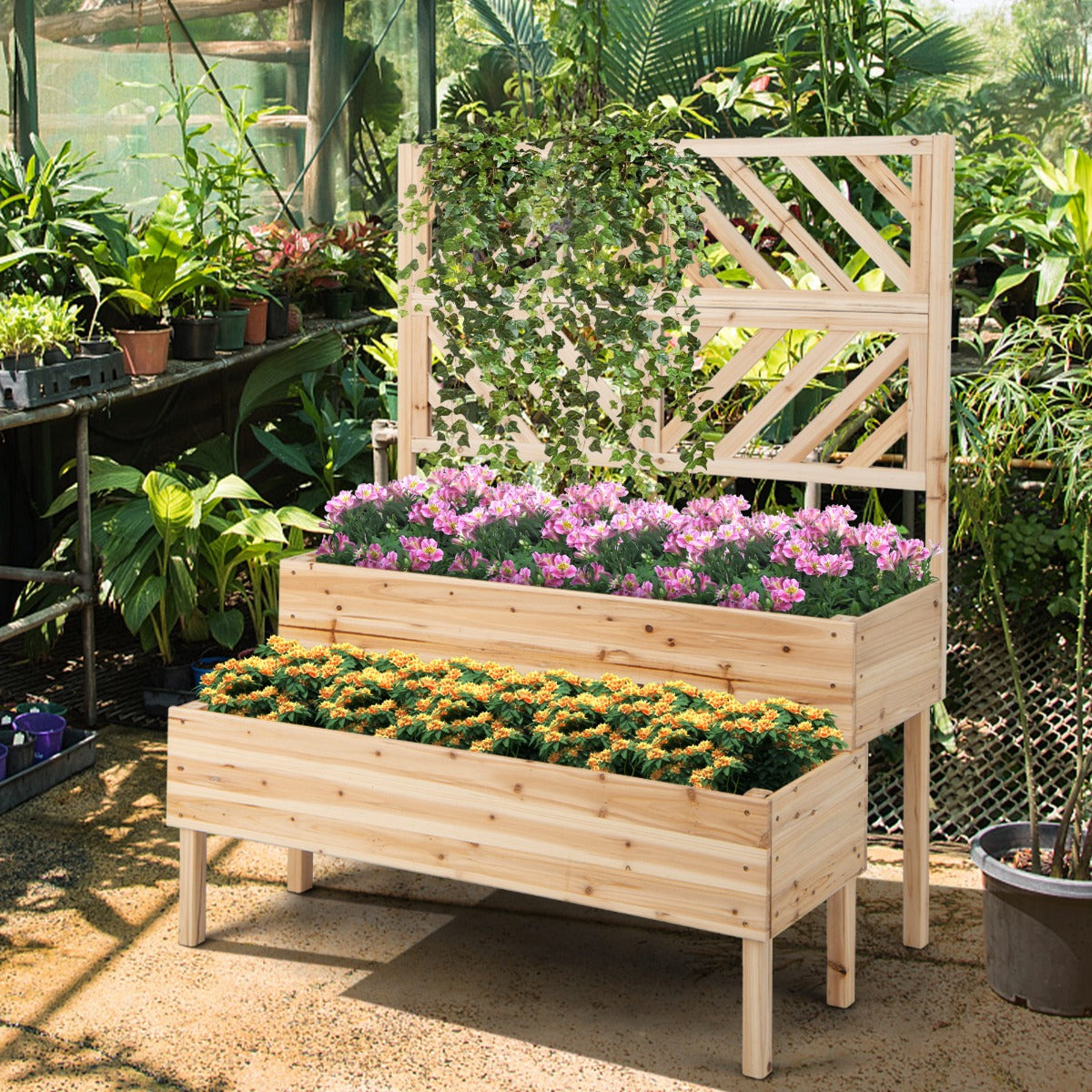 2-Tier Raised Garden Bed with Trellis and Drainage Hole-Natural