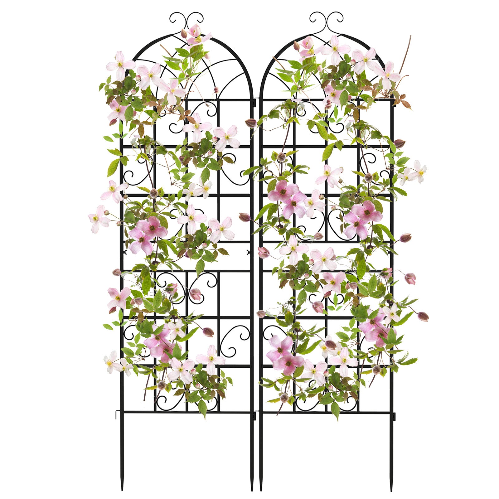 2/4 Pack 180 cm x 50 cm Metal Garden Trellis Decorative for Climbing Plants-2 Pack