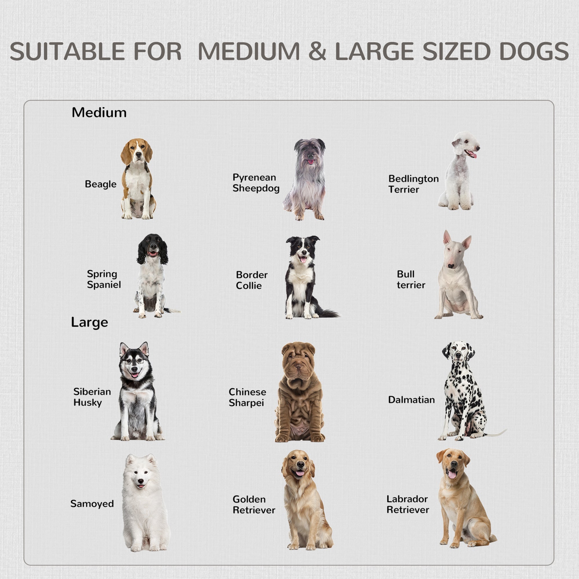 PawHut 2-in-1 Dog Cage and Side Table, with Two Lockable Doors, for Medium Large Dogs - White