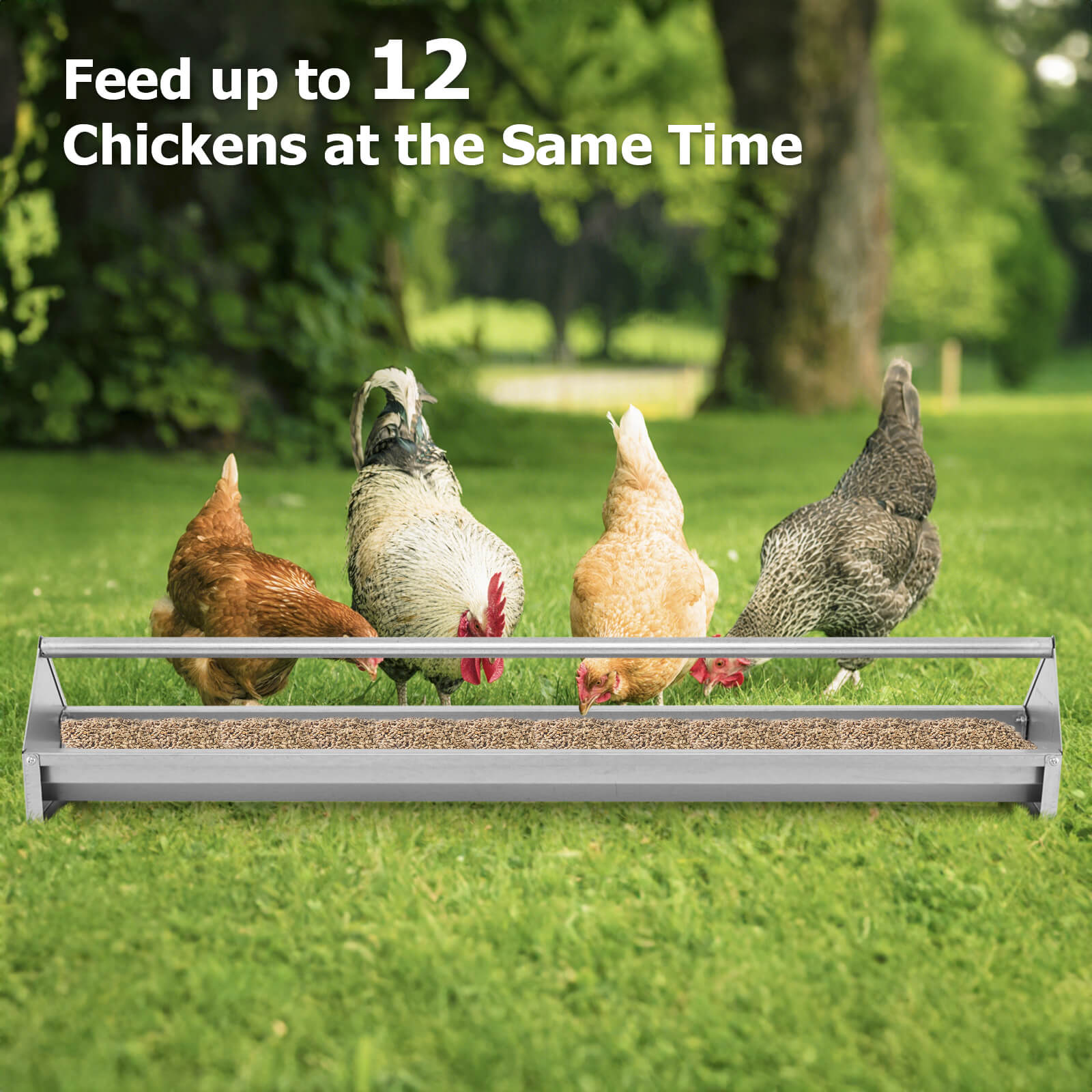 Steel Chicken Feeding Trough with Crossbar and Drainage Holes-Silver