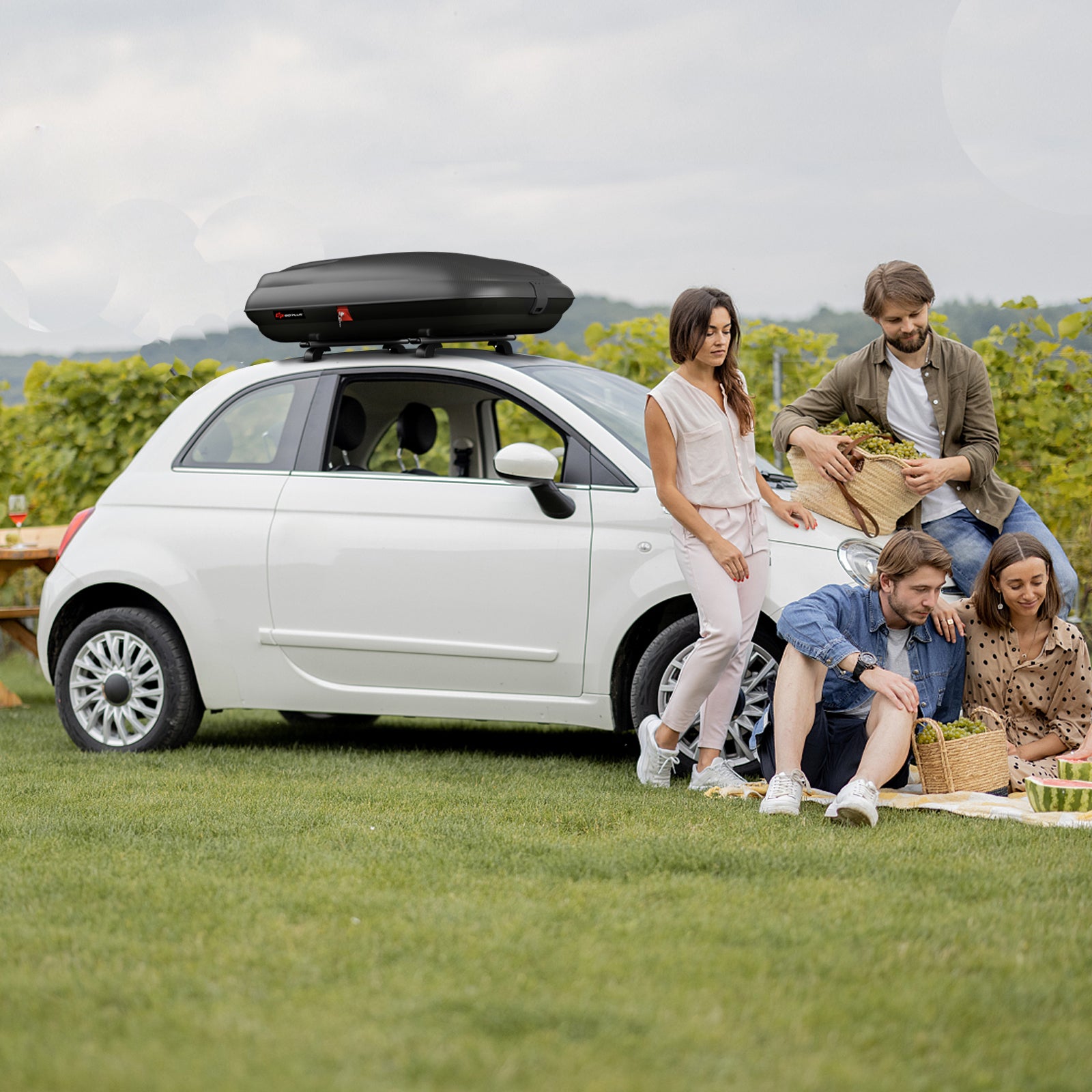 Hard Shell Rooftop Cargo Carrier Waterproof Car Storage Roof Rack¬†Mount¬†Carrier