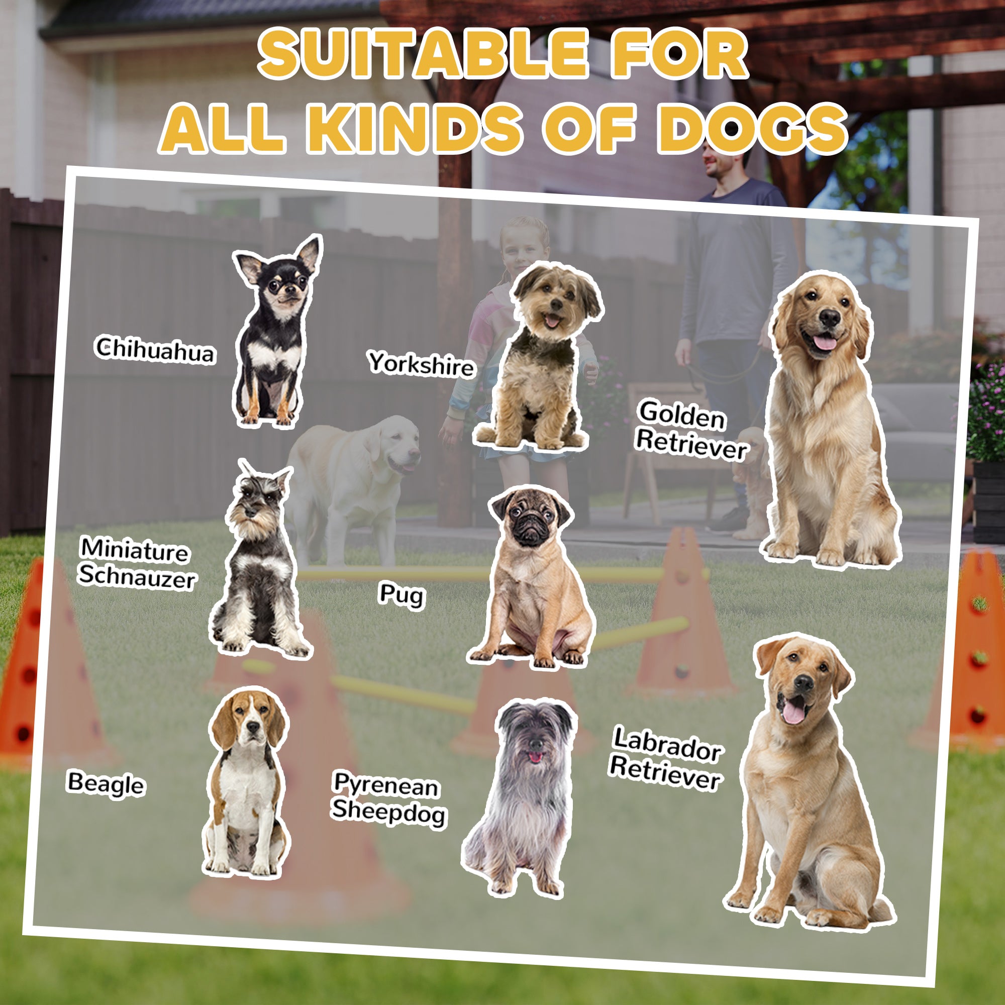 PawHut Dog Agility Equipment Set of Six Cones, Six Poles with Carry Bag, Three-Piece Adjustable Height Jumping Obstacles Orange