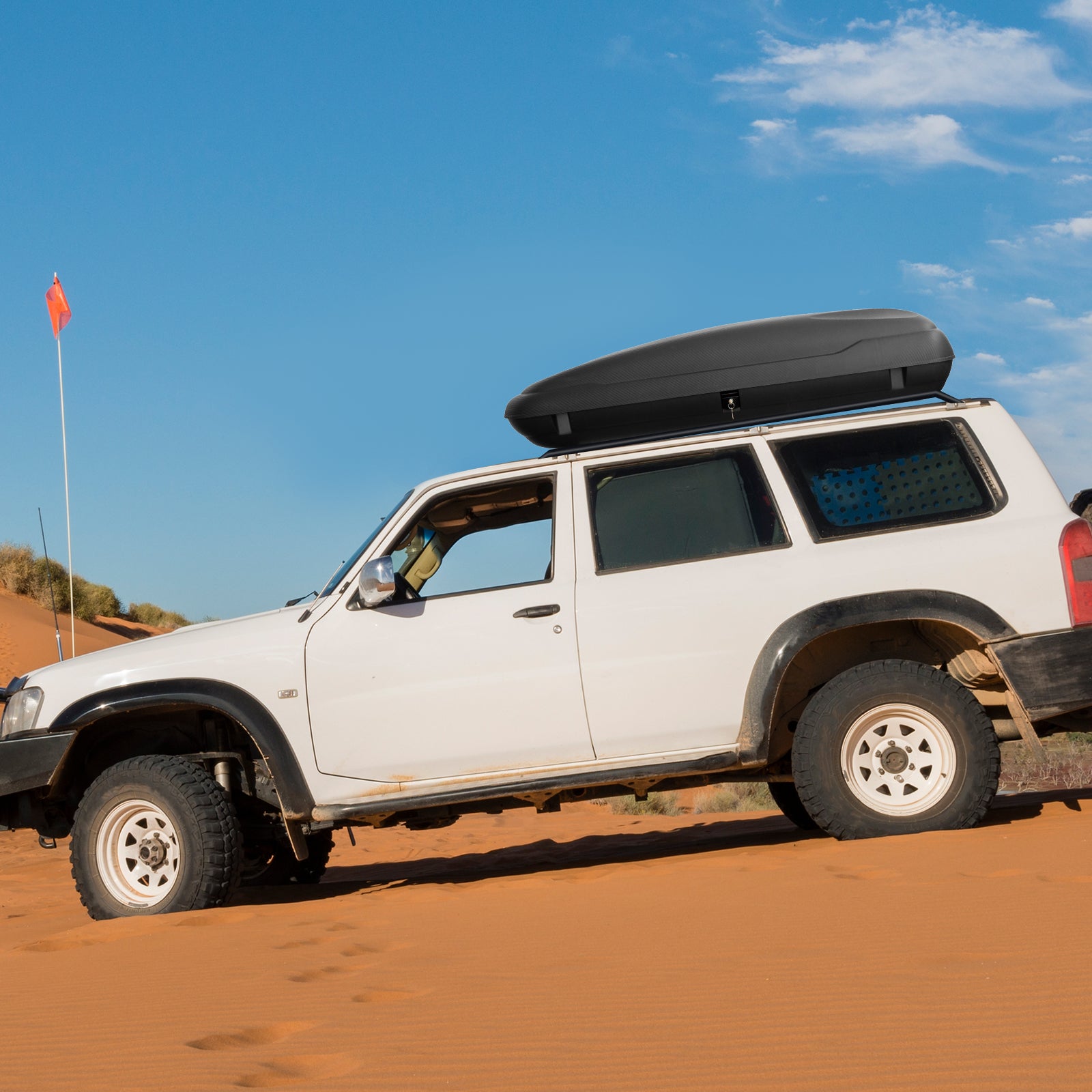 Rooftop Cargo Carrier Hard Shell Car Mount Storage Case