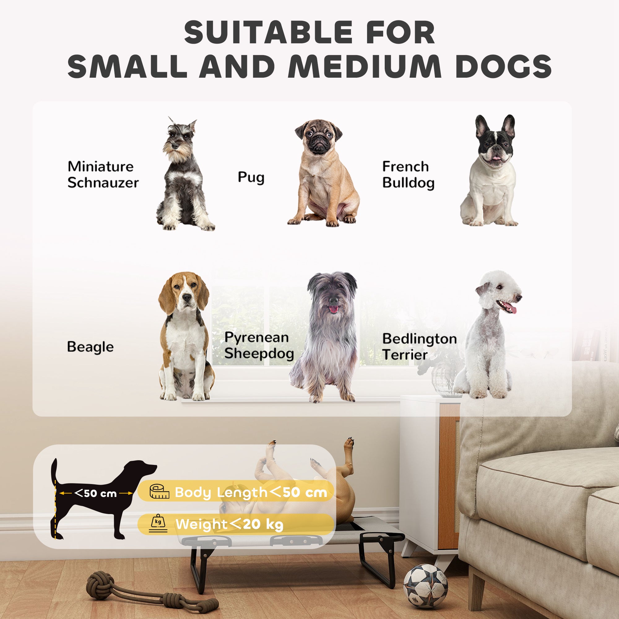 PawHut Portable Raised Dog Bed, Elevated Pet Cot with Breathable Mesh for Indoor Outdoor, for Small Medium Dogs, Light Grey