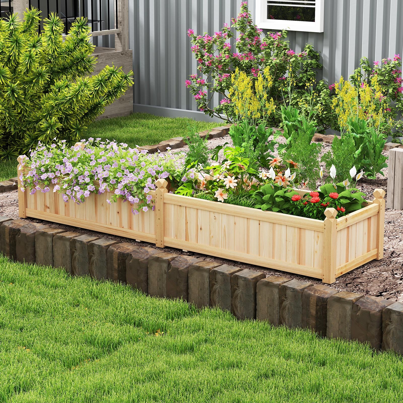 Wood Raised Garden Bed with Divider and Drainage System-Natural