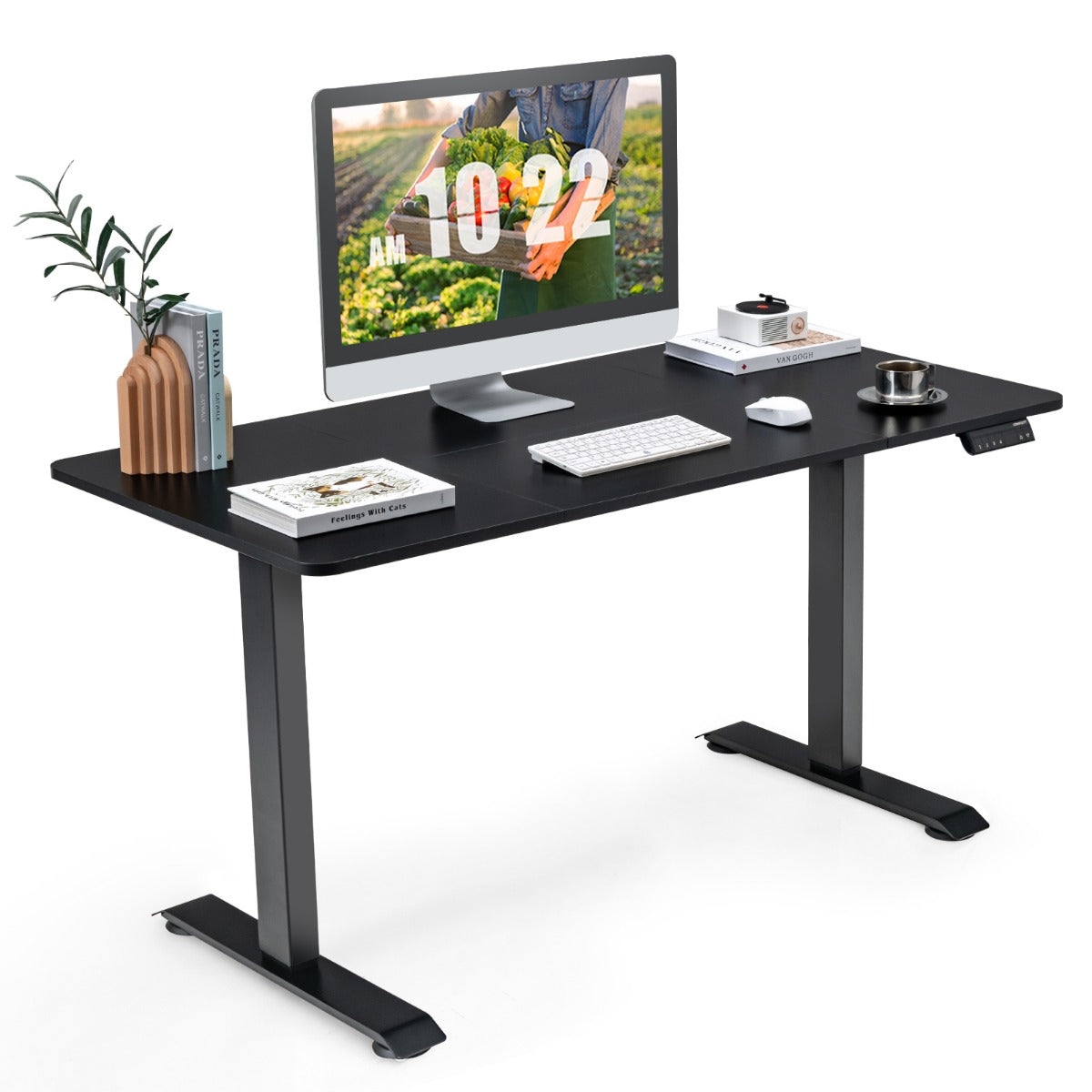 Electric Height Adjustable Standing Desk with Memory Smart Presets and Anti-Collision Function-Black