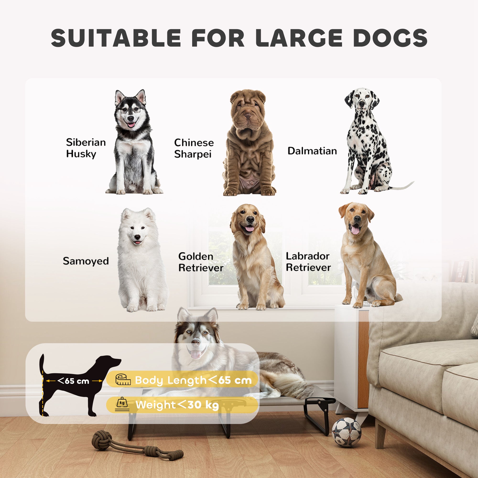 PawHut Portable Raised Dog Bed, Elevated Pet Cot with Breathable Mesh for Indoor Outdoor, for Large Dogs, Light Grey