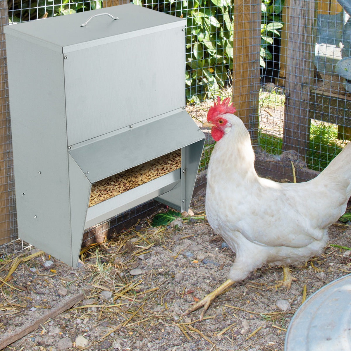 22KG Capacity Wall Mount Galvanized Chicken Feeder with Lid-Silver