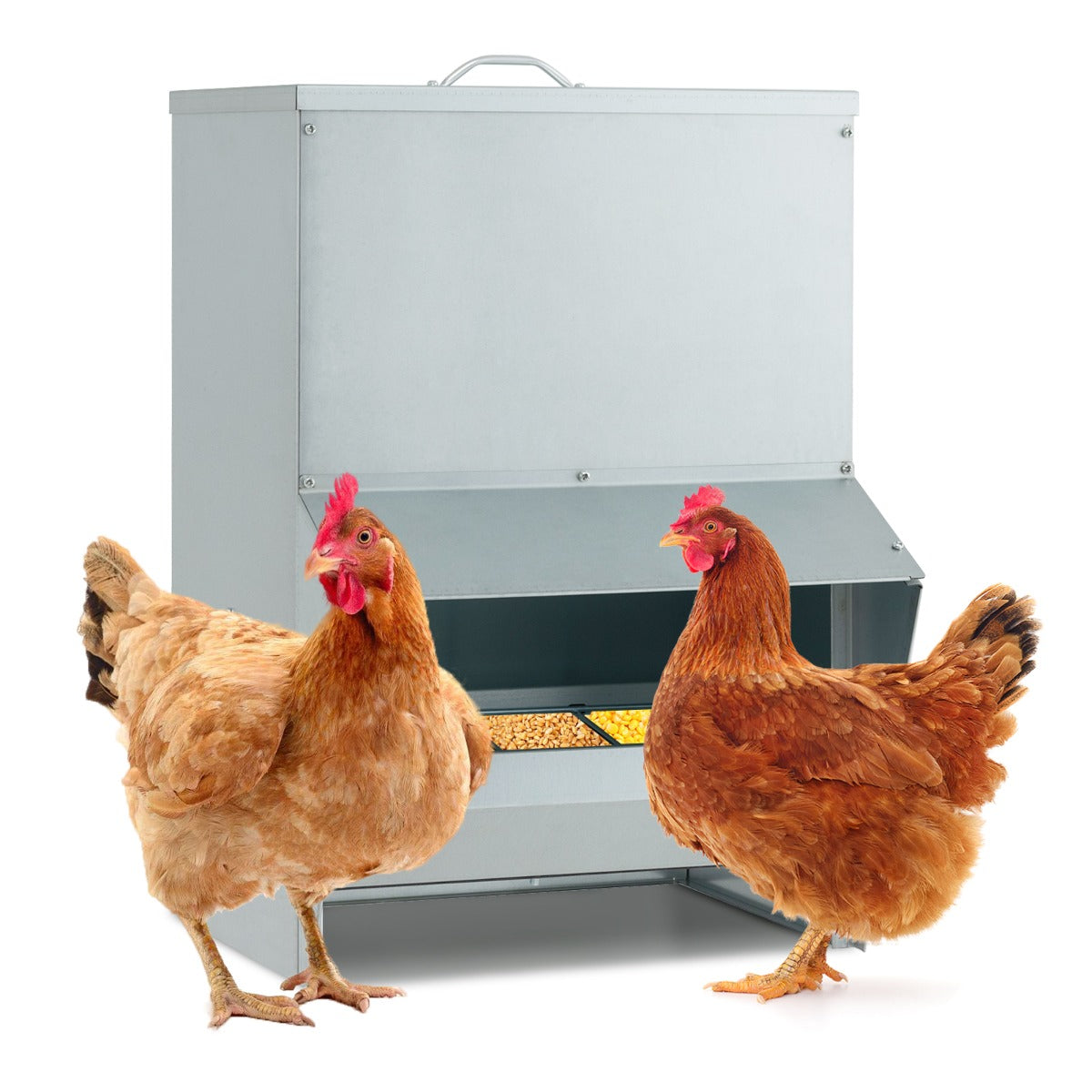 22KG Capacity Wall Mount Galvanized Chicken Feeder with Lid-Silver